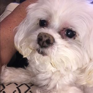 Meet your Posher, Jill